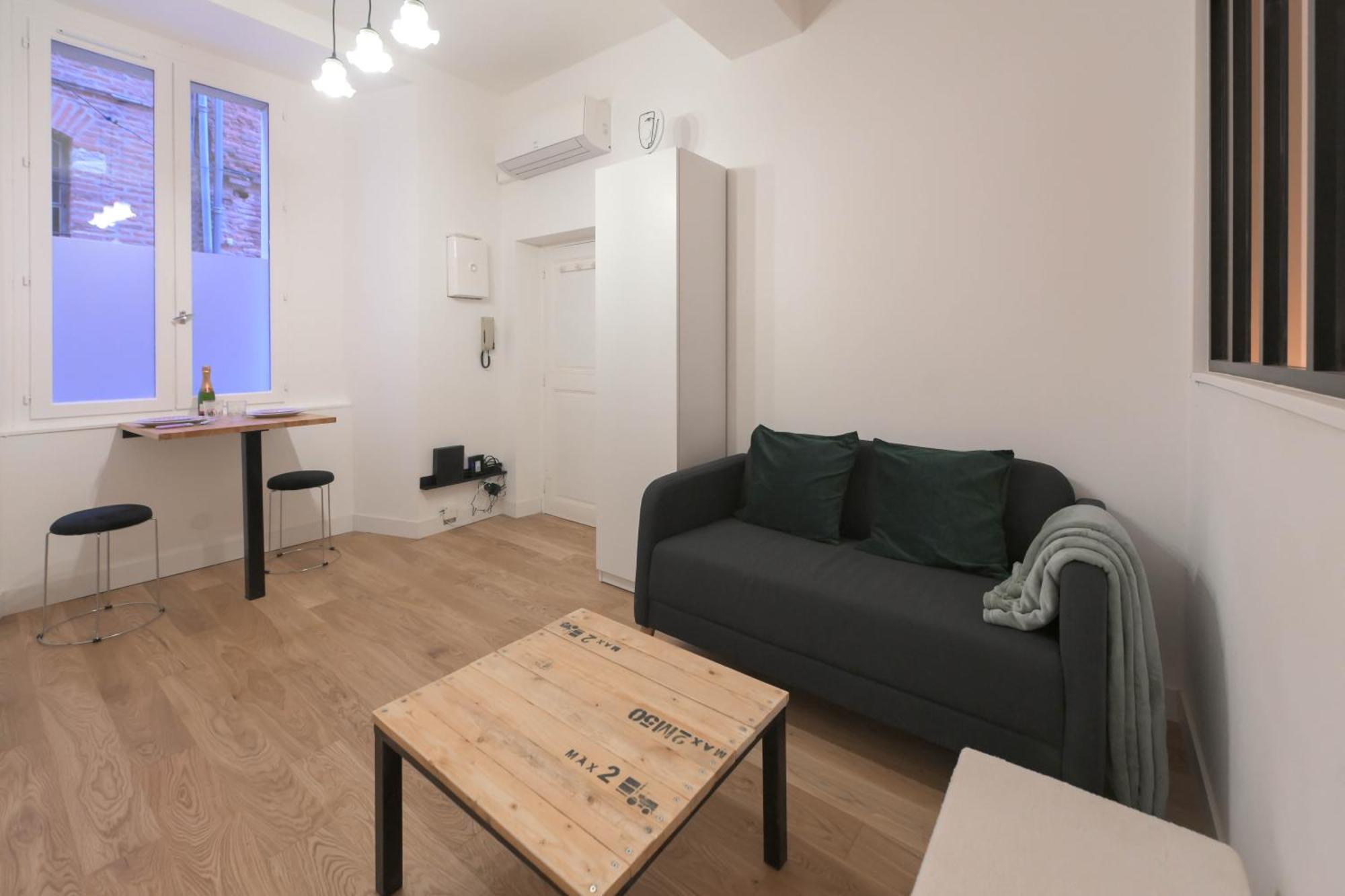 Appartement T1 Bis L'Enfilade 알비 외부 사진
